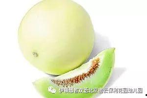 今日白兰瓜价格,市场波动下的甜蜜诱惑