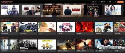 国内视频,精彩瞬间回顾