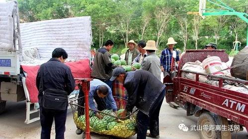 息县吃瓜群众爆料最新情况,吃瓜群众揭秘惊人内幕