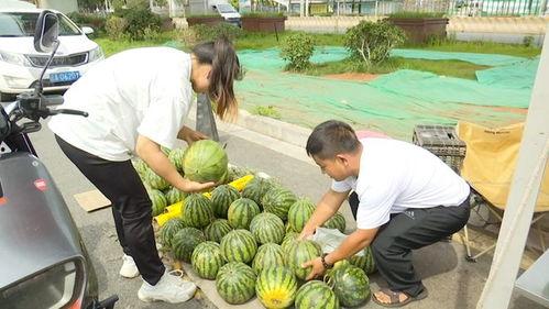 黑科社区吃瓜入口,揭秘吃瓜入口，带你领略网络八卦的魅力