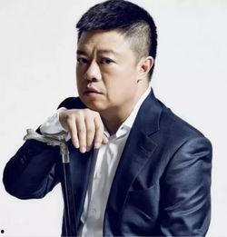 马东视频,揭秘生活智慧，笑谈人生百态