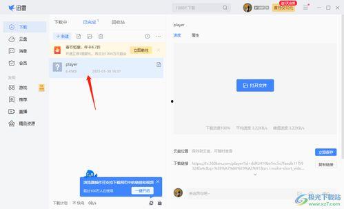 迅雷视频下载,轻松获取海量影视资源