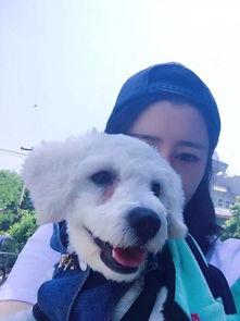 狗和人生孩子的视频,见证动物与人类的独特亲子瞬间