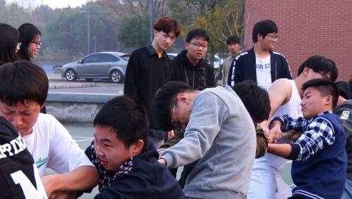 校园生活视频,青春岁月的精彩瞬间
