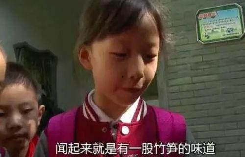 屎的视频,揭秘排泄物的奥秘与启示