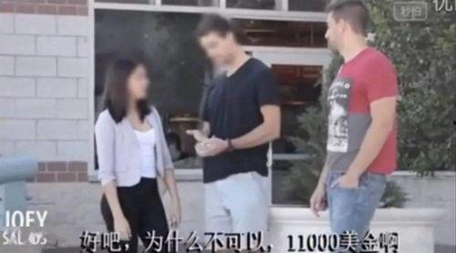 成人AV视频在线,在线视频的隐秘世界