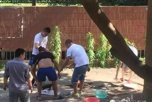烧火视频,揭秘烧火视频中的烹饪奥秘