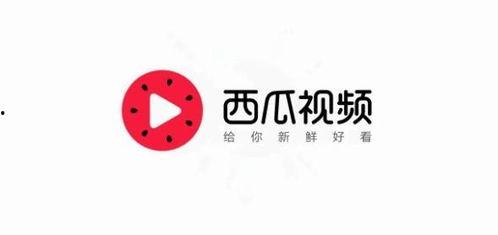 今日头条哪个瓜便宜,哪个瓜最实惠，性价比之王大揭秘！