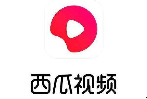 今日头条哪个瓜便宜,哪个瓜最实惠，性价比之王大揭秘！