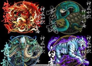 青龙视频,揭秘热门影视幕后制作故事