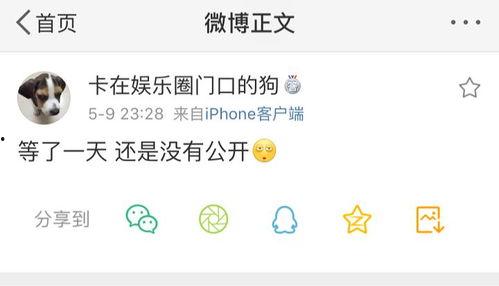 爆料吃瓜不打烊是啥意思,网络热词背后的文化现象