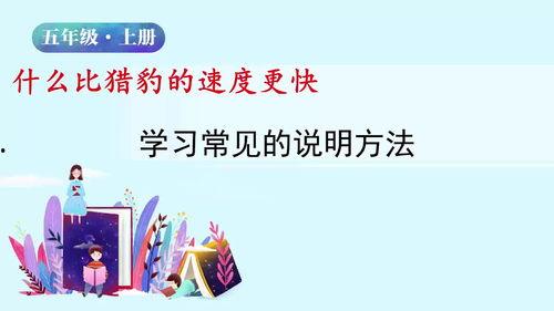 视频课件,深度解析课程核心内容