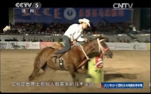 马术视频,马术视频中的速度与美感之旅