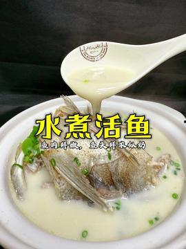 活鱼视频,捕捉生活精彩瞬间，记录美好时光