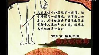 绿谷经络操作视频,揭秘传统养生之道
