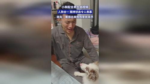 狗配人视频,温馨治愈的配对瞬间