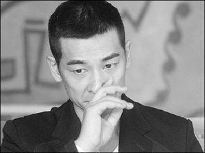 赵文卓采访视频,武术传奇的幕后故事与人生感悟