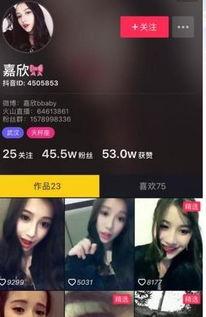 自己的视频,我的视频概览