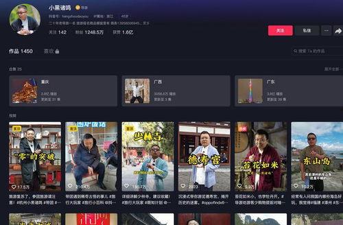 导游视频,探寻历史遗迹与文化瑰宝之旅