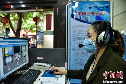 找工作视频,找工作视频攻略全解析