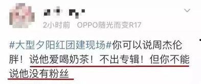 校园圈吃瓜爆料文案,揭秘校园圈吃瓜爆料背后的真相