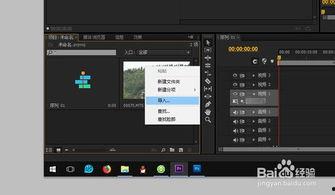 pr导入视频,轻松打造精彩概述