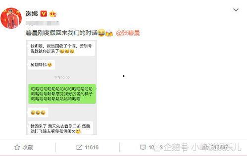吃瓜群众爆料聊天记录,揭秘娱乐圈惊人内幕
