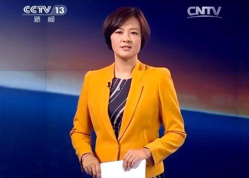 央视主持视频,镜头下的魅力瞬间