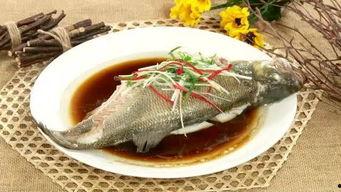 鲈鱼视频,探寻海洋美食的奥秘与魅力