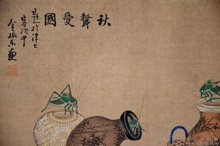 牲交视频,动物间的亲密互动与自然法则