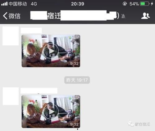 微信群 视频,[视频主题]