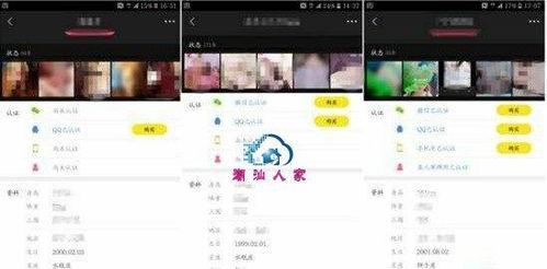 微信群 视频,[视频主题]