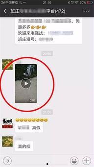 微信群 视频,[视频主题]