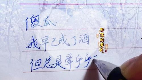情感语录视频,触动心灵的瞬间