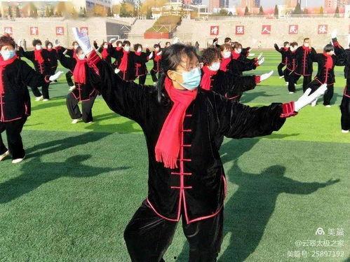 气功视频,视频揭秘身心和谐之道