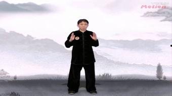 气功视频,视频揭秘身心和谐之道
