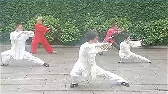 游龙拳教学视频,领略传统武术魅力，轻松入门