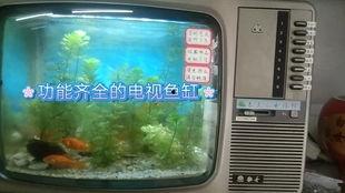 鱼缸制作视频,跟随视频教程，轻松制作个性化水族世界