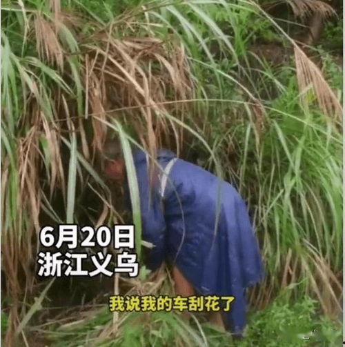 割草视频,体验现代农业机械化魅力