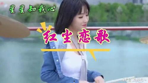 红尘情歌视频,旋律中的爱恨纠葛