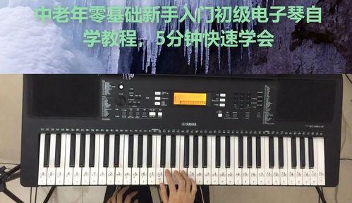 教学电子琴视频,轻松掌握音乐演奏技巧