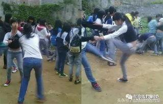 群架视频,一幕幕冲突瞬间回顾