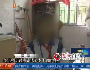 打肚子视频,趣味视频带你领略生活趣味