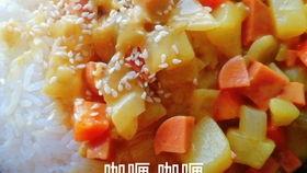 咖喱咖喱视频,一场味蕾与视觉的盛宴