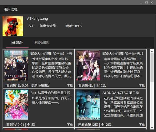 哔哩哔哩视频下载器,轻松获取心仪视频，享受便捷观影体验