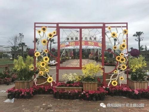 花场演艺吧视频,精彩纷呈的视听盛宴