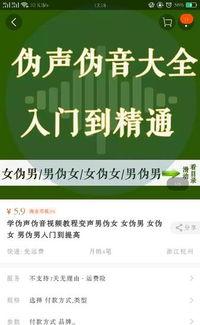伪音视频,揭秘伪音视频的神奇魅力