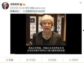 华人在线视频,探索多元文化，共筑全球华人精神家园