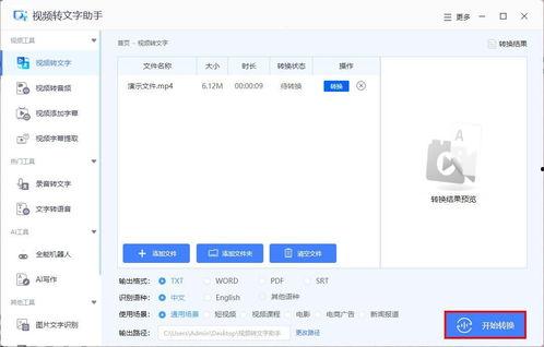 视频转文本,一窥全貌