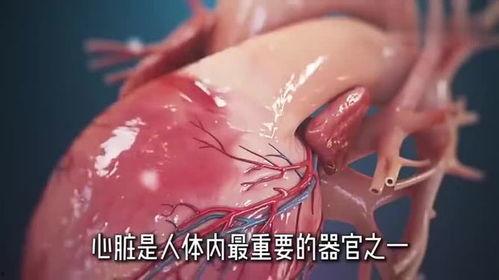心脏视频,视频带你领略生命泵动的奇迹